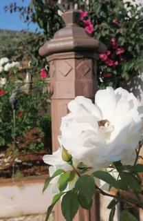 BaroneHome - Castellammare del Golfo - 8