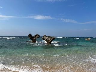 Shiawaseninaru Kourijima no Yado - 7