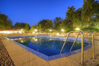 Bundela Bandhavgarh by Octave - Mānpur - 1