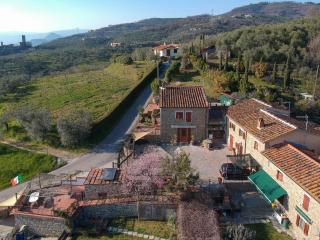 Antica Tinaia - Lamporecchio - 6