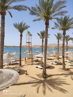 Seti Sharm Palm Beach Resort Families and couples only - Sharm el Sheikh - 5