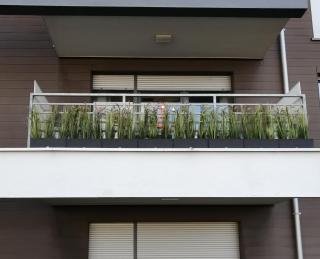 Apartment LILY - Baltic Park Pogorzelica - 3