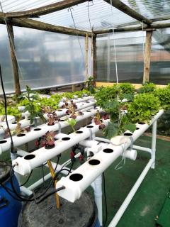 Your HOME ECO & NATUR - 6