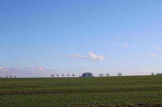 Ferienhof Wiesenblick - 2