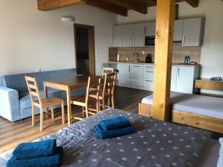 ANICO apartmány - Dolní Benešov - 9