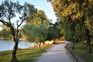 Apartments & Rooms Ivana - 1