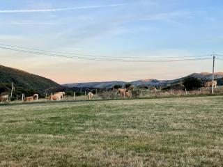Maison rénovée en plein cœur des Cévennes - 1