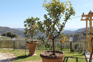 ShaLeo Holiday Home - 3