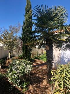 LE RENDEZ VOUS DES VACANCES - Fouras - 2