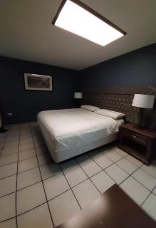 Hotel el Cortes - Aguascalientes - 5