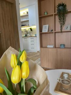 Stay Inn Zlatibor - Zlatibor - 3