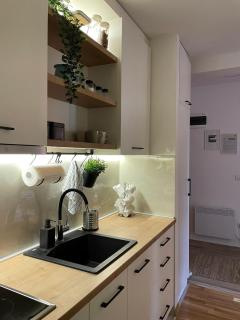 Stay Inn Zlatibor - Zlatibor - 1