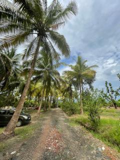 Priti Garden Farmstay, Kelwa Palghar -4 BR farmhouse with pool, pond, games,bbq - 4