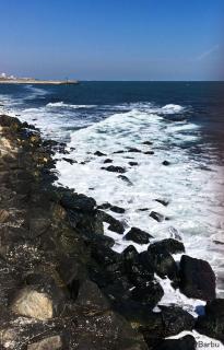Studio David Eforie Nord - Eforie Nord - 6