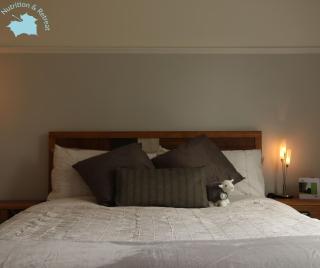 The Sycamores Nutrition & Retreat - 6