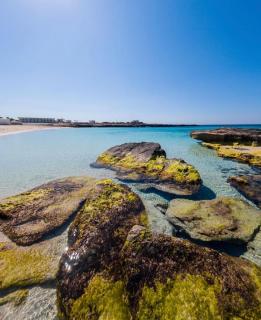 Stabilimento Lido Burrone - Favignana - 3