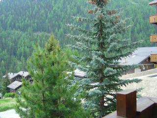 Apartment Grand Vallon - 1