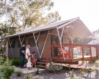 Port Stephens Koala Sanctuary - One Mile - 7