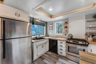 Blue Bird Beauty - 2