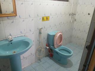 Kandyan Feel Free Homestay - Kandy - 9