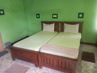 Kandyan Feel Free Homestay - Kandy - 6