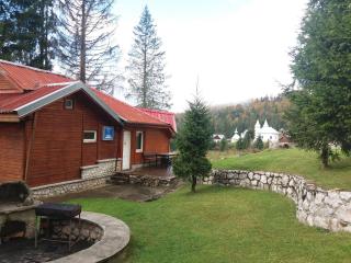 Vila IZVORUL MINUNILOR - 5
