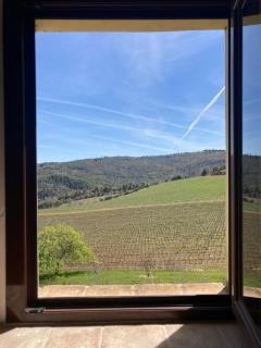 Fattoria La Torre - San Gimignano - 7