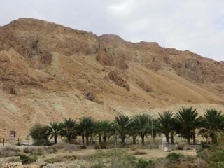 Ein Gedi Rooms Neve Zohar - Neve Zohar - 2
