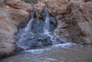 Ein Gedi Rooms Neve Zohar - Neve Zohar - 8
