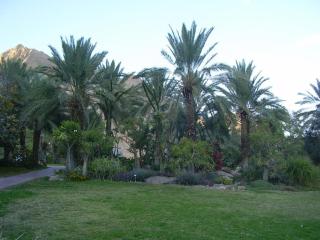 Ein Gedi Rooms Neve Zohar - Neve Zohar - 6