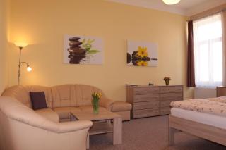 Homely Apartments Villa Christiana - Marienbad - 4