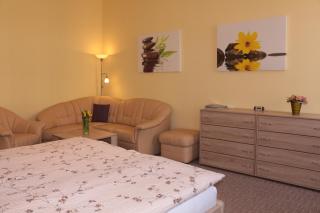 Homely Apartments Villa Christiana - Marienbad - 3