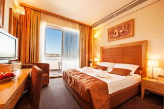 Grand Hotel Primus - Terme Ptuj - Sava Hotels & Resorts - 4