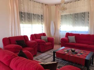 Charming House in Amman + Balcony - 5