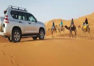 Desert Life Camp - 6