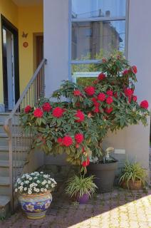 Guest house Il Giardino in Città - 5