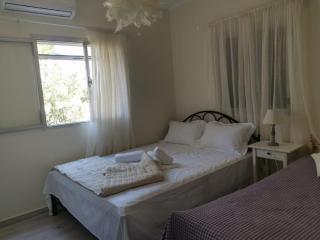 VILLA ANDRIANA - Lefkada - 7