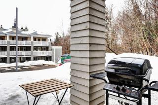 26#11 Chemin du Hameau - Studio - Stoneham - 1