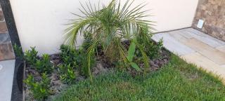 Ibiza Inn Suítes Uberaba - 2