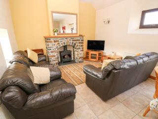 Hill Top Farm Cottage - Minwear - 9