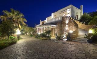 Villa Pari Manda - Agios Prokopios - 8