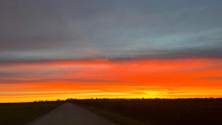 Stugor - Lgh sodra Oland - 4