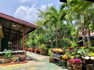 Pop riverside trat - Trat - 1