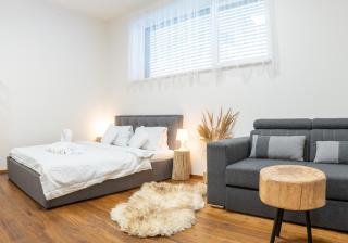 Apartmán Vrchlabí: Wellness, Ski & Golf - Vrchlabí - 0