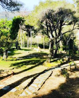 Il Lampin B&B - Marina di Andora - 1