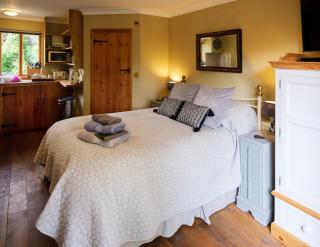 Just a Minim - a beautiful studio & hot tub available ! - Rushford - 9