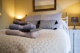 Just a Minim - a beautiful studio & hot tub available ! - Rushford - 3