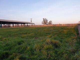 The Old Dairy Accommodation - Tillingham - 2