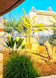 Glaros Beach Apartment - Kato Daratso - 1