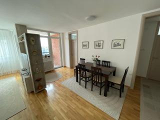 New Belgrade apartment - Belgrad - 5